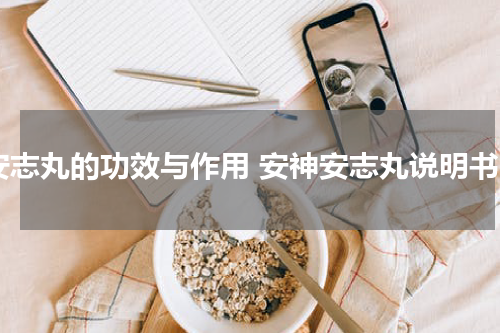 安志丸的功效与作用 安神安志丸说明书