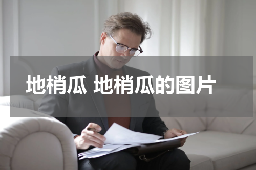 地梢瓜 地梢瓜的图片