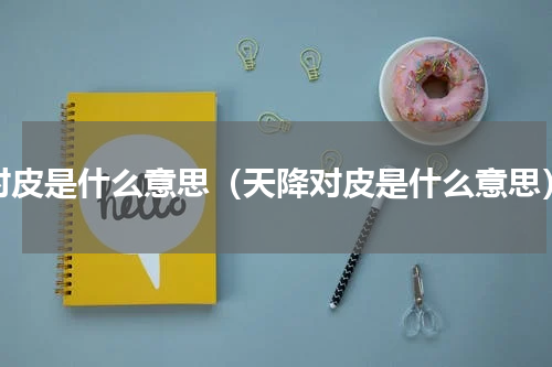 对皮是什么意思（天降对皮是什么意思）