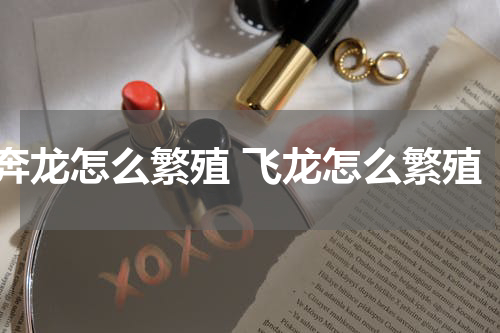 奔龙怎么繁殖 飞龙怎么繁殖