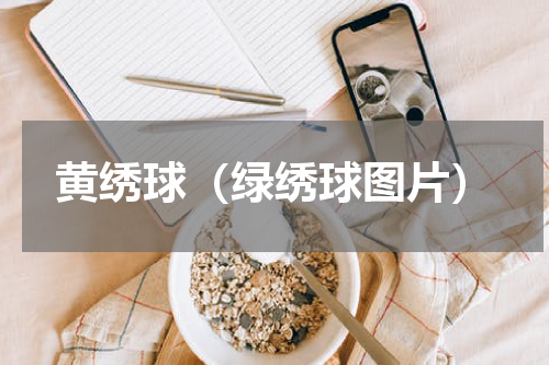 黄绣球（绿绣球图片）
