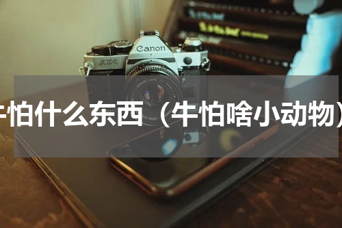 牛怕什么东西（牛怕啥小动物）