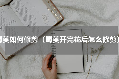 蜀葵如何修剪（蜀葵开完花后怎么修剪）