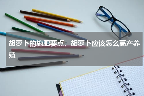 胡萝卜的施肥要点，胡萝卜应该怎么高产养殖