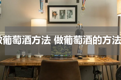 做葡萄酒方法 做葡萄酒的方法