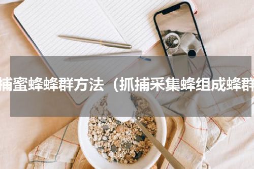 收捕蜜蜂蜂群方法（抓捕采集蜂组成蜂群）