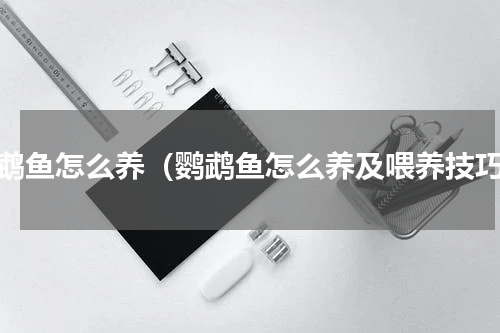 鹦鹉鱼怎么养（鹦鹉鱼怎么养及喂养技巧）