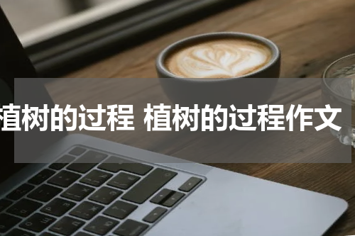 植树的过程 植树的过程作文