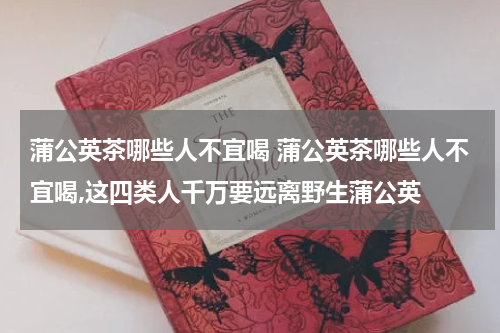 蒲公英茶哪些人不宜喝 蒲公英茶哪些人不宜喝,这四类人千万要远离野生蒲公英