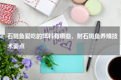 石斑鱼爱吃的饵料有哪些，附石斑鱼养殖技术要点