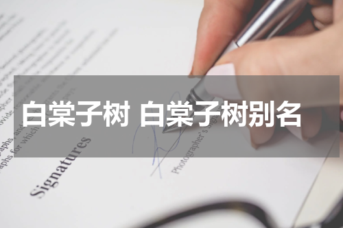 白棠子树 白棠子树别名