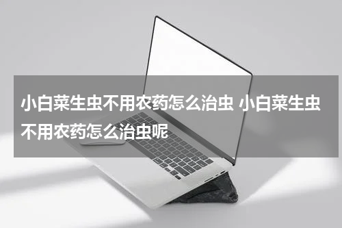 小白菜生虫不用农药怎么治虫 小白菜生虫不用农药怎么治虫呢