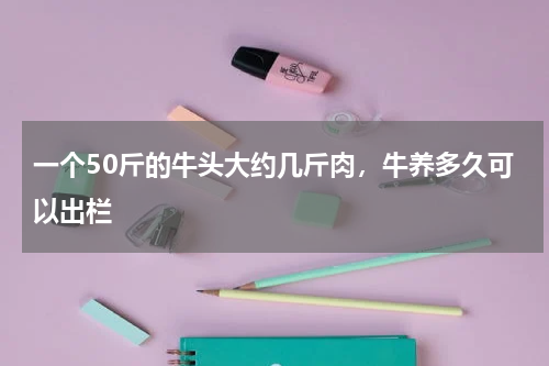 一个50斤的牛头大约几斤肉，牛养多久可以出栏