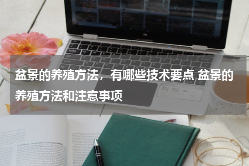 盆景的养殖方法，有哪些技术要点 盆景的养殖方法和注意事项
