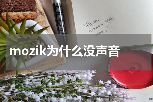 mozik为什么没声音