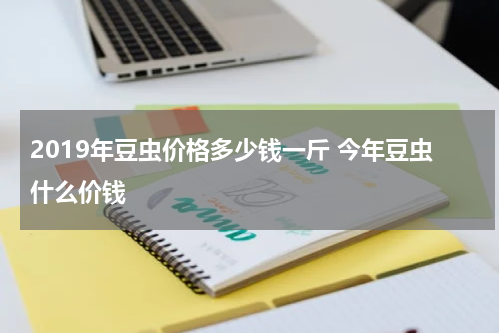 2019年豆虫价格多少钱一斤 今年豆虫什么价钱