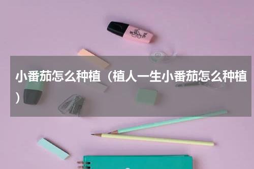 小番茄怎么种植（植人一生小番茄怎么种植）