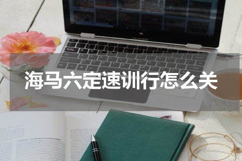 海马六定速训行怎么关