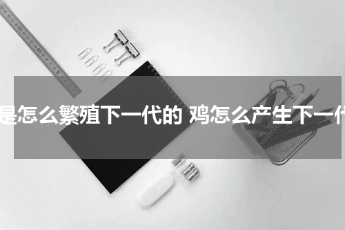 鸡是怎么繁殖下一代的 鸡怎么产生下一代