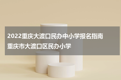 2022重庆大渡口民办中小学报名指南 重庆市大渡口区民办小学