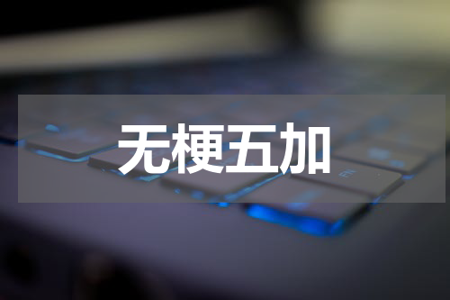 无梗五加