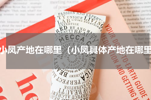 特小凤产地在哪里（小凤具体产地在哪里）