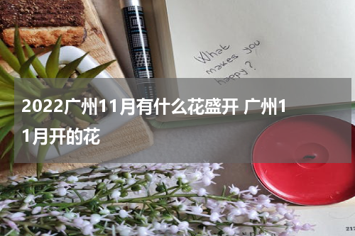 2022广州11月有什么花盛开 广州11月开的花
