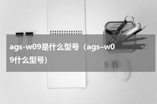 ags-w09是什么型号（ags–w09什么型号）