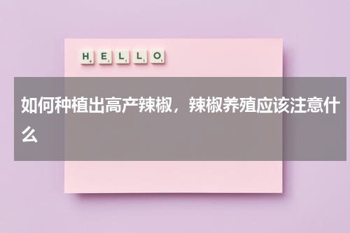 如何种植出高产辣椒，辣椒养殖应该注意什么