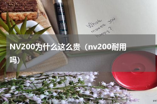 NV200为什么这么贵（nv200耐用吗）