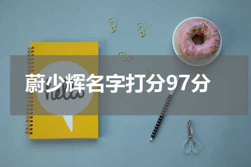蔚少辉名字打分97分