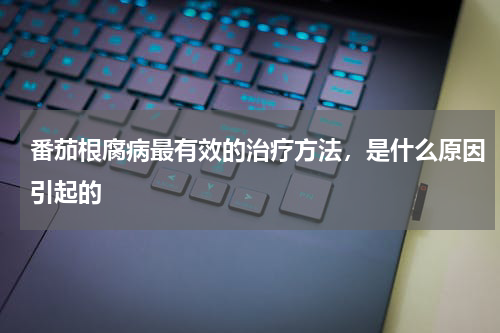 番茄根腐病最有效的治疗方法，是什么原因引起的