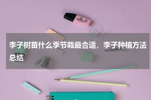 李子树苗什么季节栽最合适，李子种植方法总结