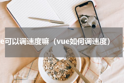vue可以调速度嘛（vue如何调速度）