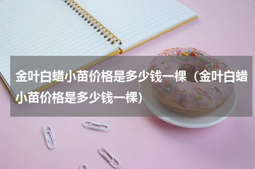 金叶白蜡小苗价格是多少钱一棵（金叶白蜡小苗价格是多少钱一棵）
