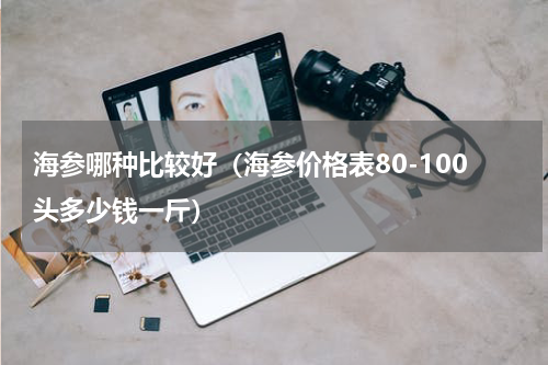 海参哪种比较好（海参价格表80-100头多少钱一斤）
