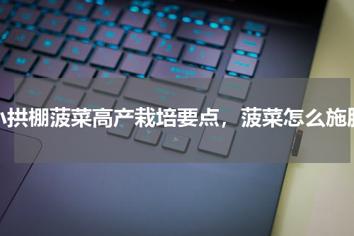 小拱棚菠菜高产栽培要点，菠菜怎么施肥