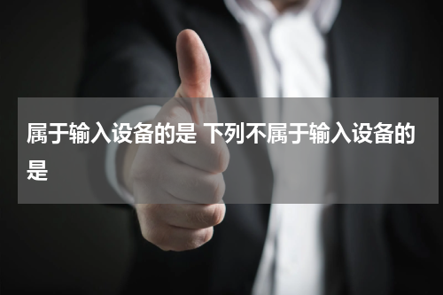 属于输入设备的是 下列不属于输入设备的是