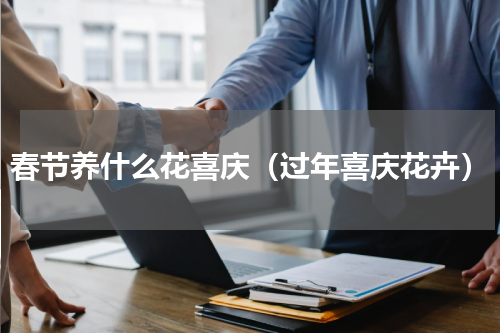 春节养什么花喜庆（过年喜庆花卉）