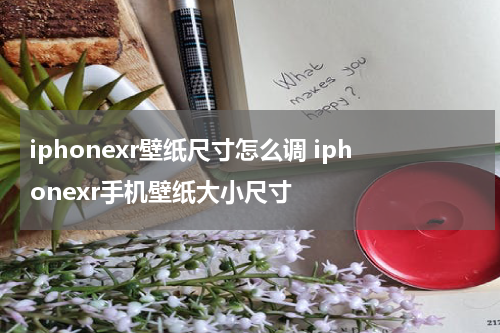 iphonexr壁纸尺寸怎么调 iphonexr手机壁纸大小尺寸