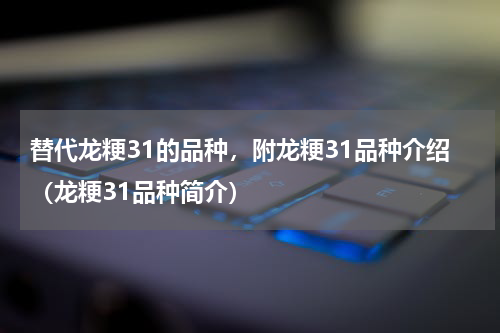 替代龙粳31的品种，附龙粳31品种介绍（龙粳31品种简介）