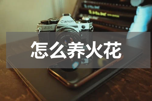 怎么养火花