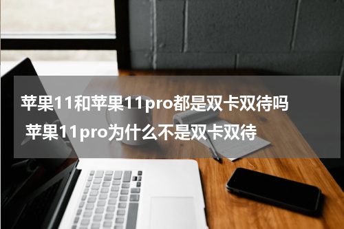 苹果11和苹果11pro都是双卡双待吗 苹果11pro为什么不是双卡双待