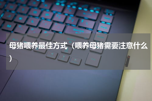 母猪喂养最佳方式（喂养母猪需要注意什么）