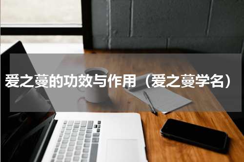爱之蔓的功效与作用（爱之蔓学名）