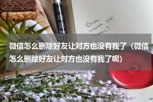微信怎么删除好友让对方也没有我了（微信怎么删除好友让对方也没有我了呢）