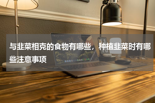 与韭菜相克的食物有哪些，种植韭菜时有哪些注意事项