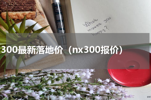 nx300最新落地价（nx300报价）