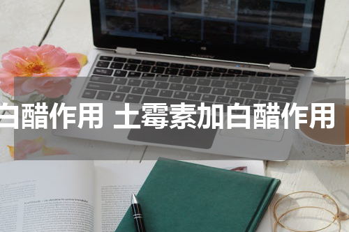 白醋作用 土霉素加白醋作用