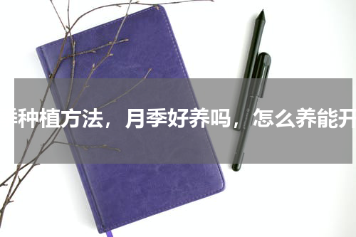 月季种植方法，月季好养吗，怎么养能开花